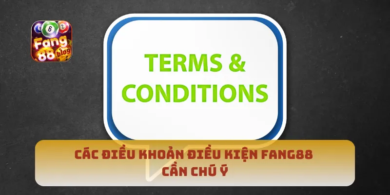Các điều khoản điều kiện Fang88 cần chú ý
