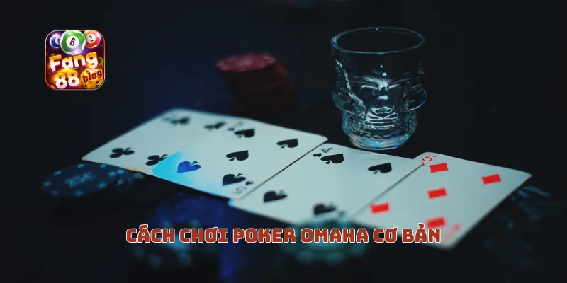 Cách chơi Omaha Poker cơ bản