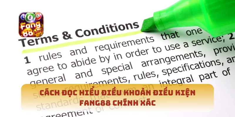Cách đọc hiểu điều khoản điều kiện Fang88 chính xác