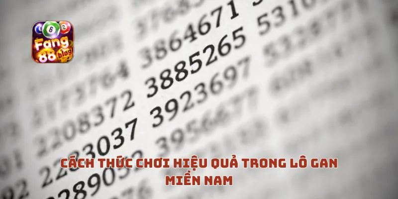 Cách Thức Chơi Hiệu Quả Trong Lô Gan Miền Nam