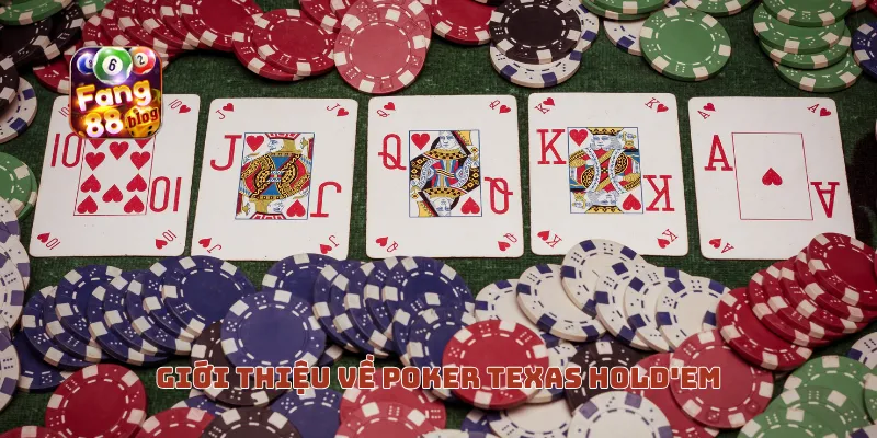 Giới thiệu về Poker Texas Hold'em