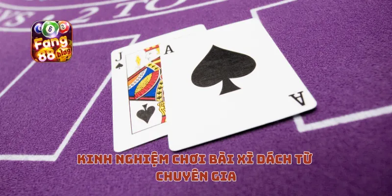 Kinh nghiệm chơi bài xì dách từ chuyên gia