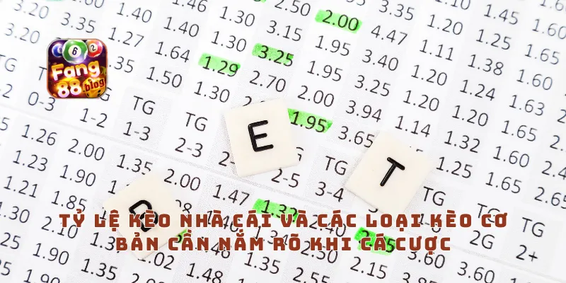Tỷ lệ kèo nhà cái và các loại kèo cơ bản cần nắm rõ khi cá cược